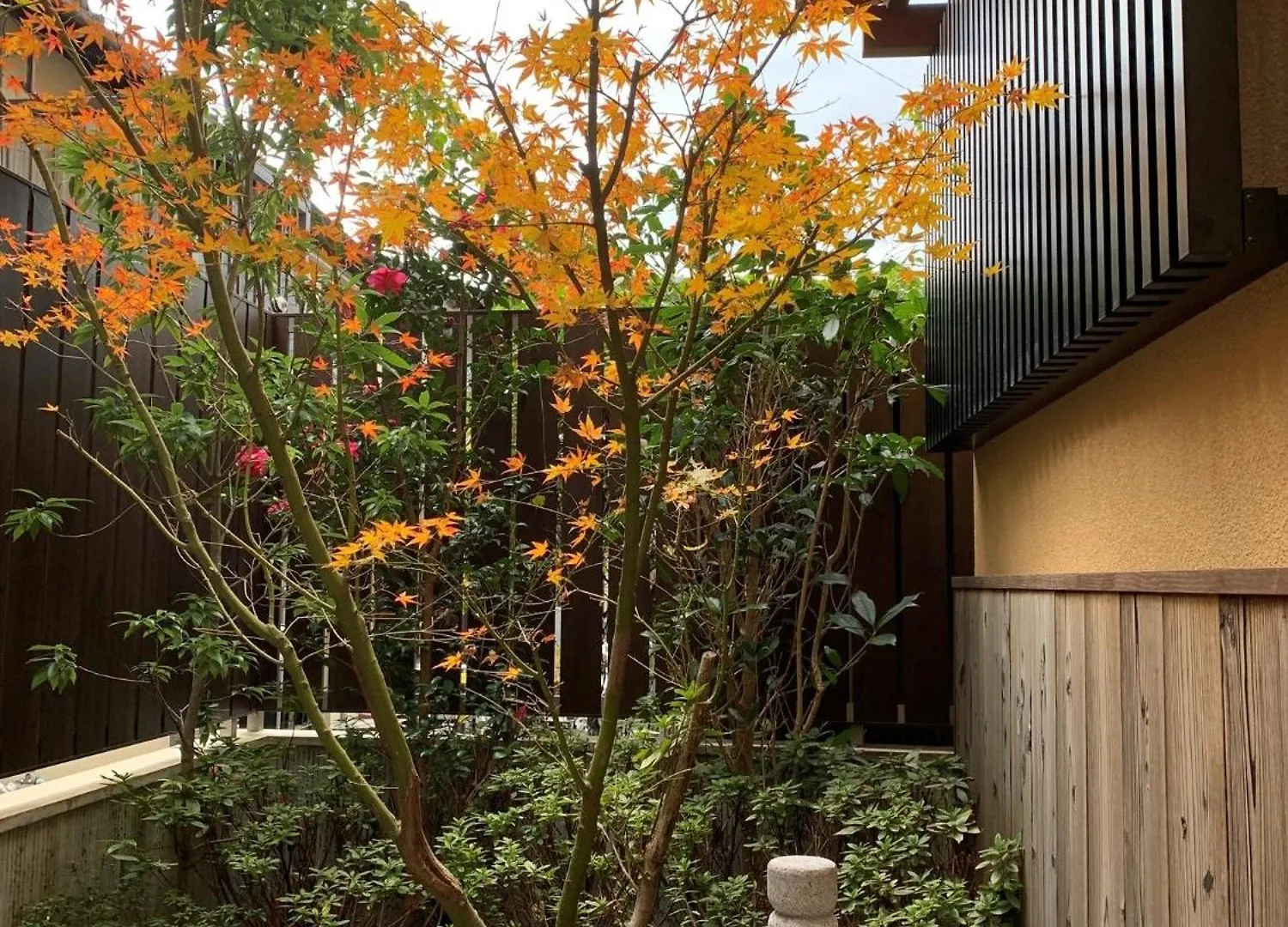 Kyo Yoshinoya Minamikan - Vacation Stay 19470V Kyoto